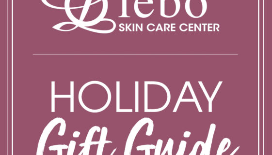 HOLIDAYicon