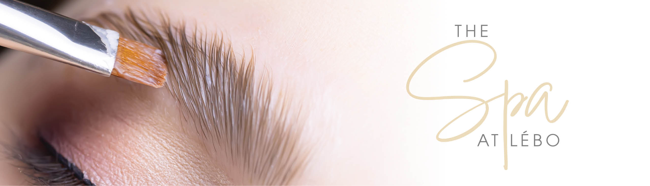 Headers_Spa_brow_lamination