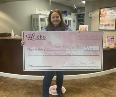 Large_check_counter