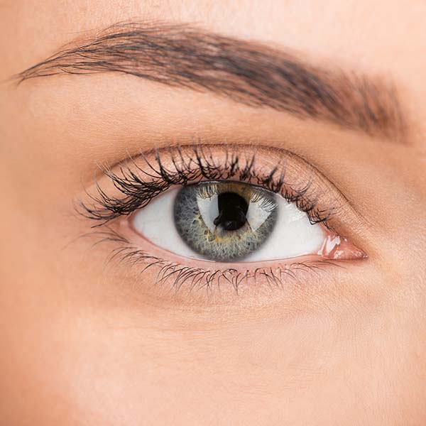 LASH AND BROW TINT