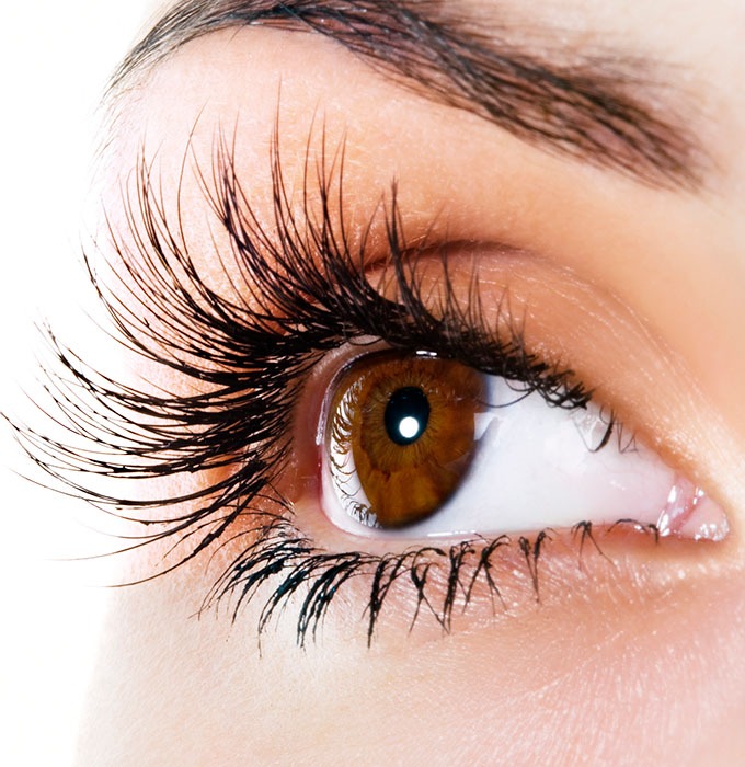 Lash Lift and Curl LASH LIFT AND CURL