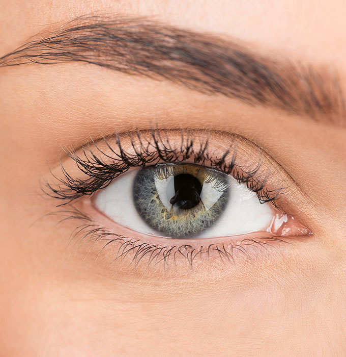 lash_n_Brow_tint_btn LASH AND BROW TINT